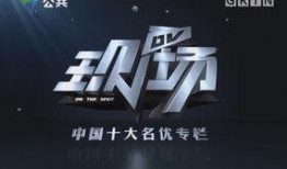 最新dv现场爆料,最新DV爆料揭秘事件真相