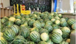 网红爆料仓今日吃瓜,仓今日吃瓜，揭秘娱乐圈最新热点