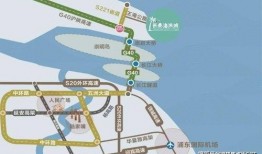 神奇艾比最新更新爆料,独家爆料揭秘神秘新功能！